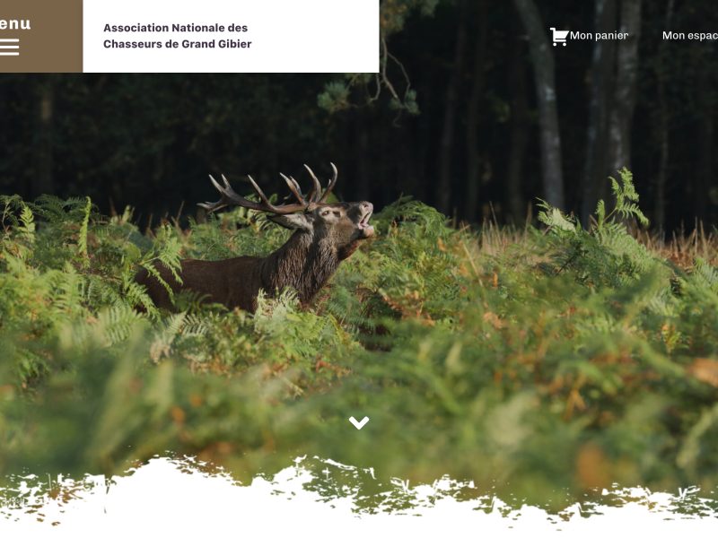 Association Nationale des Chasseurs de Grand Gibier